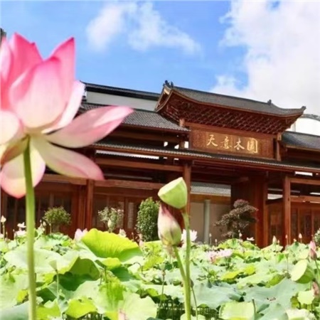 益陽(yáng)天意木國(guó)木文化博物館、金家堤、一碑五館一日游