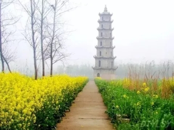 春暖花開(kāi)南洞庭踏青、云夢(mèng)七色花洲一日游  