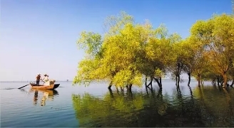 春暖花開(kāi)南洞庭踏青、云夢(mèng)七色花洲一日游  