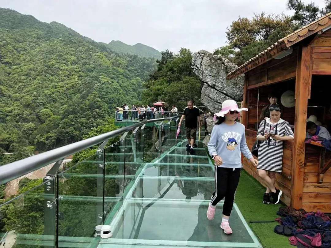 益陽安化?天下茶道、云臺山、茶香花海2日游