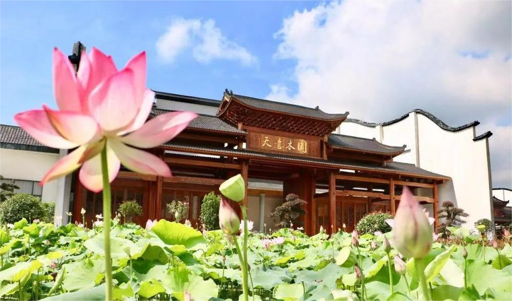 清溪村、天意木國景區(qū)、明清古巷、市博物館、胡林翼故居二日游